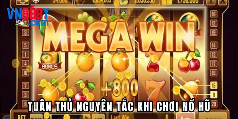 Tuân thủ đầy đủ những nguyên tắc mà nhà cái đề ra khi chơi nổ hũ