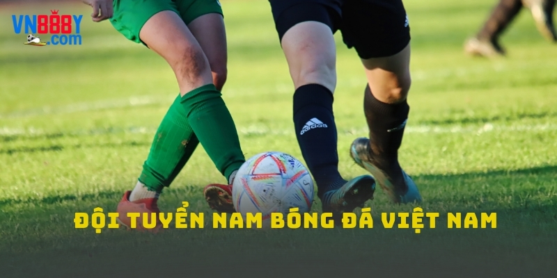 Đội tuyển nam bóng đá Việt Nam