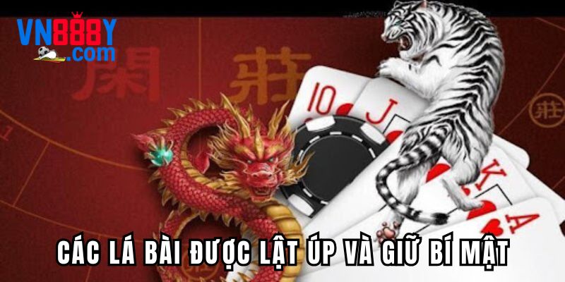 Các lá bài được lật úp và giữ bí mật
