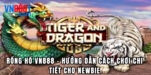 Rồng hổ Vn888